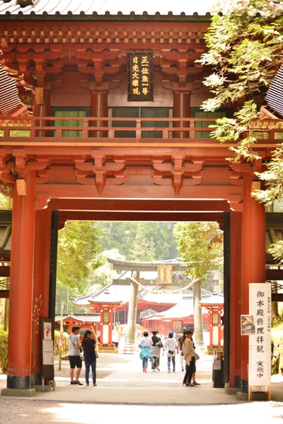 DSC_3831 (Large).JPG